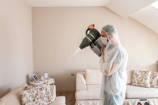 medic sphysician scientist make disinfection and ventilation at living room medic sphysician scientist make disinfection and ventilation at living room