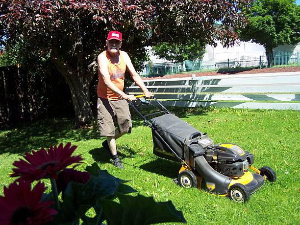 all summer long there`s grass to mow. all summer long there`s grass to mow.